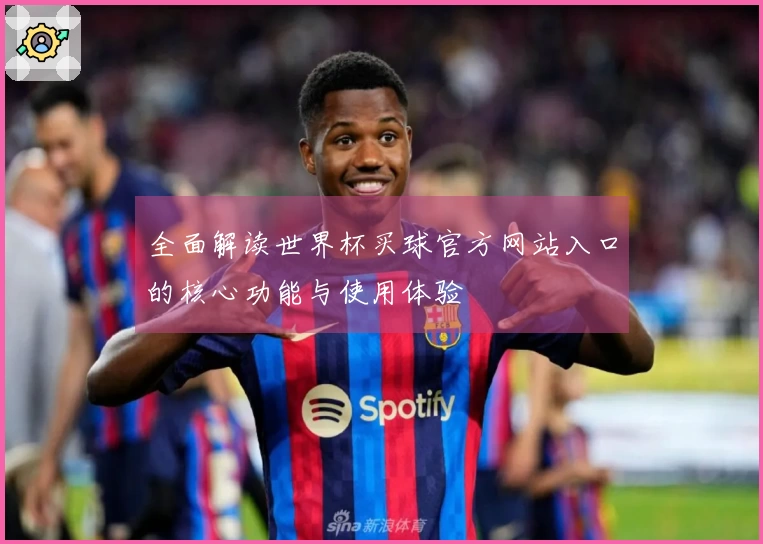 全面解读世界杯买球官方网站入口的核心功能与使用体验