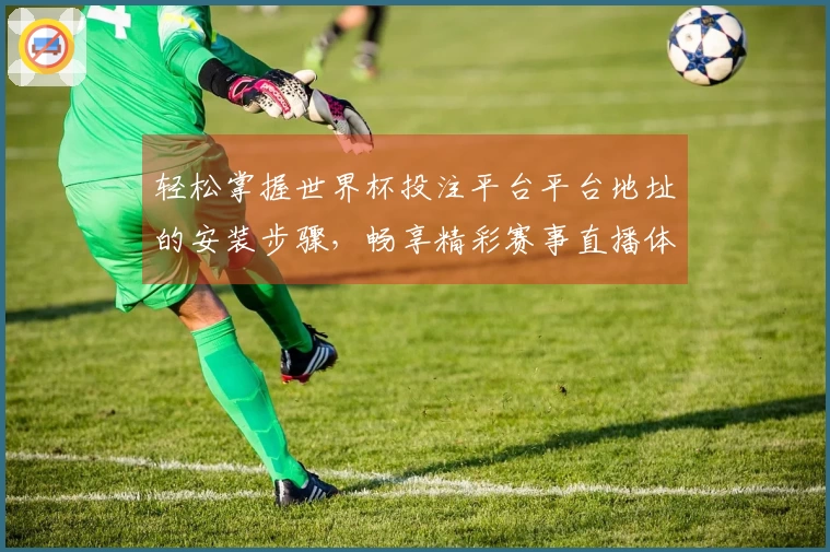轻松掌握世界杯投注平台平台地址的安装步骤，畅享精彩赛事直播体验