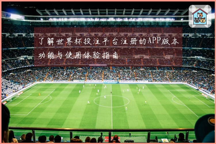 了解世界杯投注平台注册的APP版本功能与使用体验指南